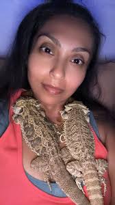 Who doesn't love bugs and Godzilla?