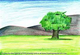 To draw snowy pines in colored pencil, depict the tree with snow weighing down the branches and with snow dunes in the background. Tree Landscape Colored Pencils Drawing Tree Landscape With Color Pencils Drawingtutorials101 Com