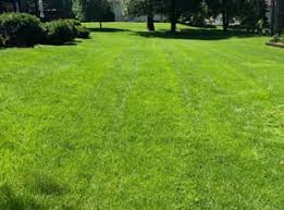 Todd quality is known for its superior quality of work and unmatched attention to detail. Newburgh In Landscaping From 29 1 Landscapers Best Of 2021