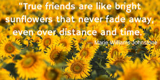 Sunflower Quote Sunflower Quotes True Friends Friends Are Like