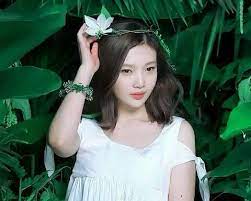 Pin Di Red Velvet