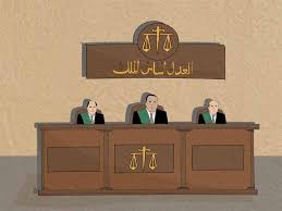كانت طالبة في كلية اللغات والترجمة بجامعة 6 أكتوبر حتى اعتقالها عام 2014، ثم حصلت على عفو رئاسي مع 100 آخرين في سبتمبر 2015 و ثم تم حسبها في شهر مايو 2016 بتهمة إهانة القضاء. Ø§Ù„ÙŠÙˆÙ… Ø§Ù„Ø­ ÙƒÙ… Ø¹Ù„Ù‰ Ø³Ù†Ø§Ø¡ Ø³ÙŠÙ ÙÙŠ Ù…Ø­Ø§ÙƒÙ…ØªÙ‡Ø§ Ø¨ØªÙ‡Ù…Ø© Ø¥Ø°Ø§Ø¹Ø© ÙˆÙ†Ø´Ø± Ø£Ø®Ø¨ Ù…Ù† Ø§Ù„Ù…ØµØ¯Ø±
