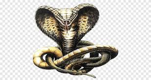 Consequently, the region hosts ten of idaho's eleven big game animals and diverse list of fish found in little known and famed waters, such as the henrys fork and south fork of the snake rivers. Snakes Indian Cobra Drawing Sketch Cobra Snake Drawing Pencil Scaled Reptile Png Pngegg