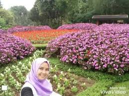 Harga tiket masuk little venice kota bunga. Kota Bunga Little Venice Dan Taman Bunga Nusantara Youtube