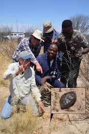 Botswana, officially the republic of botswana, is a landlocked nation in southern africa that is considered one of the most stable economically and politically on the continent. Asteroid That Hit Botswana In Eurekalert Science News Releases