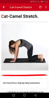 Cat & camel gently stretches the connective tissue around your nerve roots (nerve branches that come from the spinal cord). Lower Back Pain And Sciatica Relief Exercises For Android Apk Download