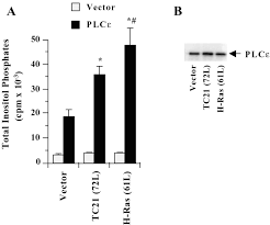 Hey guys welcome back, ben again! Involvement Of Phosphatidylinositol 3 Kinase But Not Ralgds In Tc21 R Ras2 Mediated Transformation Journal Of Biological Chemistry