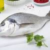 Il cefalo è un pesce semigrasso, che si presta a diverse ricette, in particolar modo è ottimo cucinato arrosto, al cartoccio o sulla brace. Https Encrypted Tbn0 Gstatic Com Images Q Tbn And9gcq0l4c1thfnkqpbnzars5veuzgwc6a03 Cywnuoggtn Vap7jxz Usqp Cau