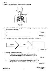 Organ pernafasan manusia sains tahun 4. Soalan Sains Tahun 4 Proses Hidup Tumbuhan Kecemasan C