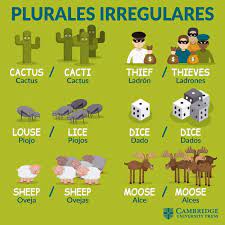 Las semillas de los cactus se producen en frutos, entre los que se conocen casos comestibles para el ser humano, de los cuales hablamos aquí. Cambridge Spain Ø¹Ù„Ù‰ ØªÙˆÙŠØªØ± Hay Sustantivos En Ingles Que Para Formar El Plural No Siguen La Regla Principal Sabes Alguno Mas