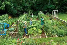 Maybe you would like to learn more about one of these? Steal These Secrets For Growing Your Own Veggie Patch Southern Living