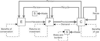 Roomys fietse in pretoria te koop : 2