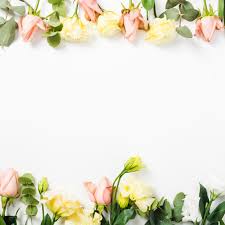 1 url(image.png) 2 3 / 3 5px 4 round. Free Photo Top And Bottom Border Made With Flowers On White Background