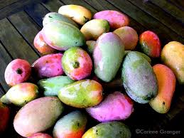 Les Mangues C Corinne Granger Marche Ile De La Reunion Mango Fruit Plum