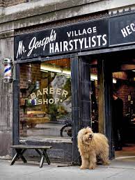 Dog Owners Enlist Professional Pup Photographers For Pet Portraits Barbershop Design Barber Shop York Dog