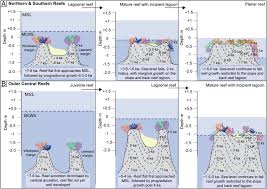 Piloting and aerial survey approach to monitor coral bleaching (aloha helicopter tours). Successive Phases Of Holocene Reef Flat Development Evidence From The Mid To Outer Great Barrier Reef Sciencedirect