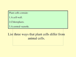 The division of the cytoplasm takes place by cell plate formation. Organelles Viruses Etc Ppt Download
