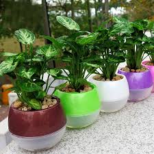 Maybe you would like to learn more about one of these? Mkono 3 5pcs Self Watering Pot Automatic Planter Plant Flower Pots For Garden Office Home Decoration Table Floor Mixed Colors Flower Pot Self Watering Potwatering Pot Aliexpress