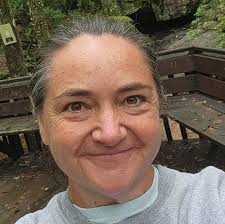 Information about the Little Debbie Christmas Tree Cake Run