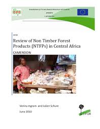 Image result for Oldfieldia macrocarpa