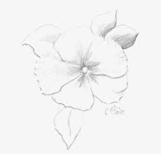 Immagini tumblr da colorare semplici. 1001 Idee Per Fiori Da Colorare Per Bambini E Adulti