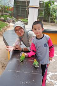 Diposting oleh unknown di 11.59. Outing Anak Anak Tk Ke Palembang Bird Park Dengan Penuh Manfaat Iis Naini