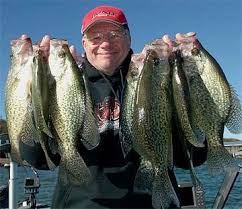 Crappie Fishing Lake Secrets Crappie Fishing Fish Crappie