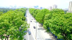 Chặt 1300 cây xanh: "Nhiệt độ ngoài trời có thể giảm 4 độ C nếu thành phố  nhiều cây xanh"