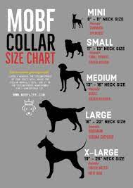 However, the medical data available to us now shows the full extent of damage a collar can cause. Vrbh The Vrbh Size Guide Measuring Your Pet Miimobileapp