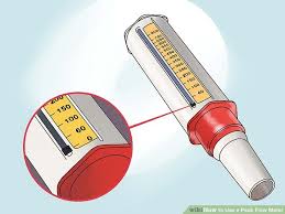 How To Use A Peak Flow Meter 13 Steps With Pictures Wikihow