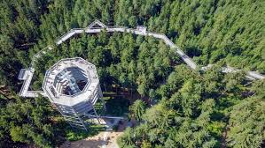 The valley of the giants tree top walk is the number 1 attraction in walpole. Most Beautiful Forest Canopy Walkways And Treetop Walks The Best Ecotourism Destination Wego Com