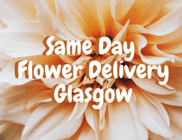 Send flowers to port glasgow today! The 16 Best Options For Flower Delivery In Glasgow 2021