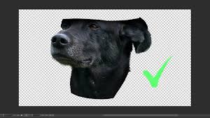 We'll use a public domain oil painting of a 19th century dutch. Turn Your Pet Into Renaissance Masterpice By Rockomoran Clip Studio Tips