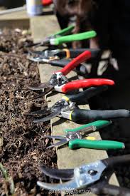 Check spelling or type a new query. How To Care For Pruners Garden Therapy