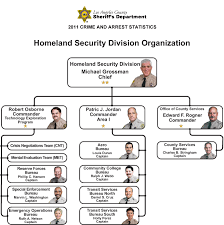 Homeland Security Division Organization Chart