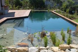 Schwimmteich Selber Bauen 13 Marchenhafte Gestaltungsideen Garten Pooldesign Zenideen In 2020 Schwimmteich Selber Bauen Schwimmteich Schwimmbader Hinterhof