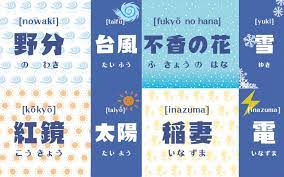 日语的「野分」「不香の花」是什么意思？关于天气的4个有趣别称！（三）-江户日语