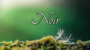 The plural forms are 'noirs' for masculine words, and 'noires' for the feminine words. How To Pronounce Noir In French Youtube