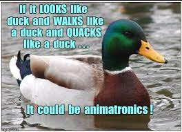If It Looks Like A Duck Imgflip