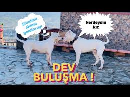 LEYDİ VE ESCOBAR’IN AYLAR SONRA İLK BULUŞMASI