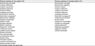 Image result for Aeschynomene multicaulis