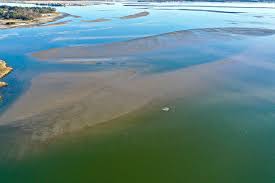 masseys ditch and sand bars at dead low tide delaware surf