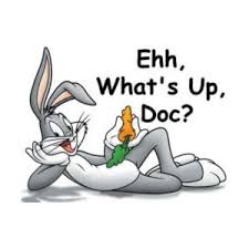 Resultado de imagem para whats up