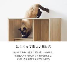 キャットタワー キャットウォーク 猫家具 本棚 収納 おしゃれ 60 ねこ ネコ 壁面収納 棚 スリム 省スペース 北欧風 ペット ロウヤ lowya 会員 lowya paypayモール店 通販 paypayモール muebles para gatos gatos muebles