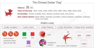 The Year Of The Dog Chinese Zodiac Sign For 1946 1958 1970 1982 1994 2006 2018 Chinese Zodiac Chinese Zodiac Signs Year Of The Snake