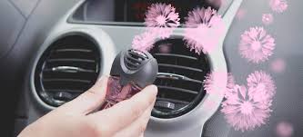 Just as there are different surfaces, there are also multiple. How To Get Smoke Smell Out Of Your Car Simple Auto Chimps