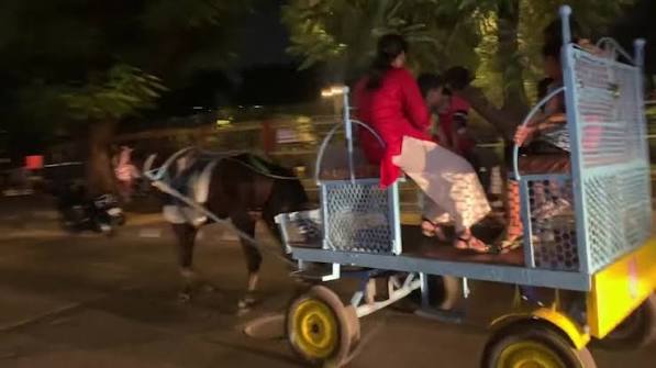 The rein of horse-drawn carriages used for joy rides is NOT over despite the Bombay High Court’s order. , 📍 Near Collector Office, Bandra East, 🎥 Diwakar Sharma, #horsecarriage #bandra #bandraeast ...