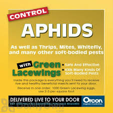 Free additional service calls as needed. Orcon Green Lacewings 1000 Eggs Gl C1000