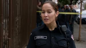 Le 10 février 2017, la série a été renouvelée pour une quatorzième saison. Watch Station 19 Season 1 Prime Video