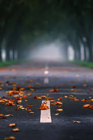 Peeddd Background For Photography Dslr Background Images Blur Background Photography